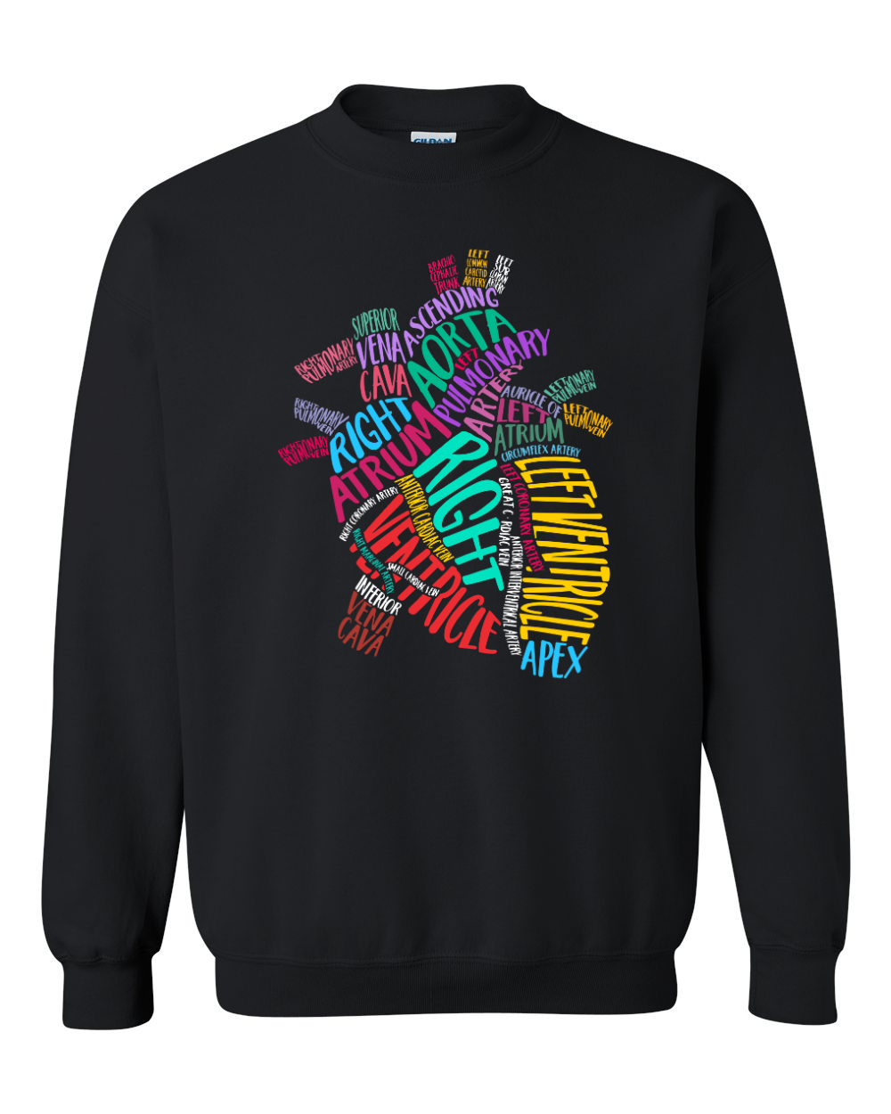 Anatomical Heart Multi Colored