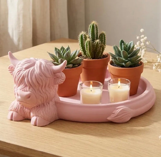 Highland Cow with Tray