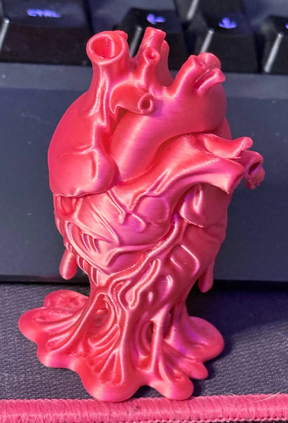Anatomical Heart