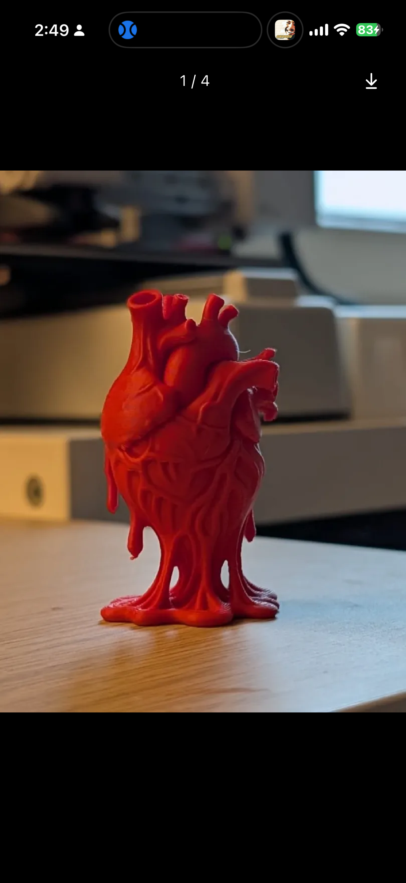 Anatomical Heart