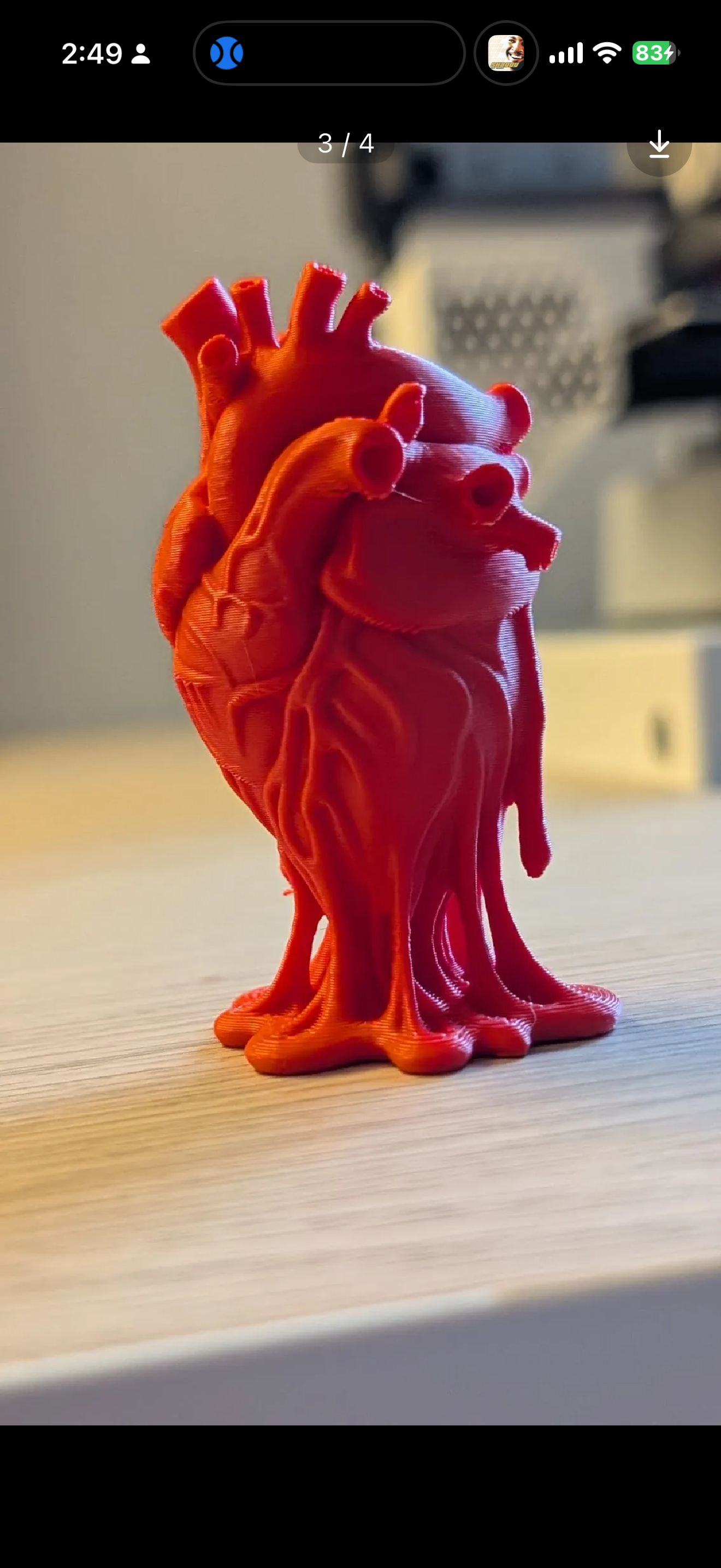 Anatomical Heart