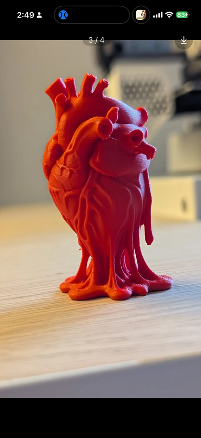 Anatomical Heart