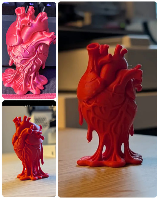 Anatomical Heart