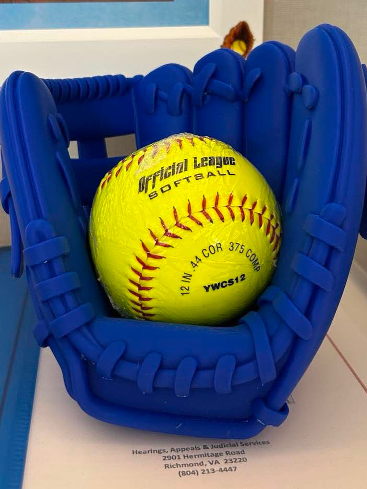 Softball Ball Holder