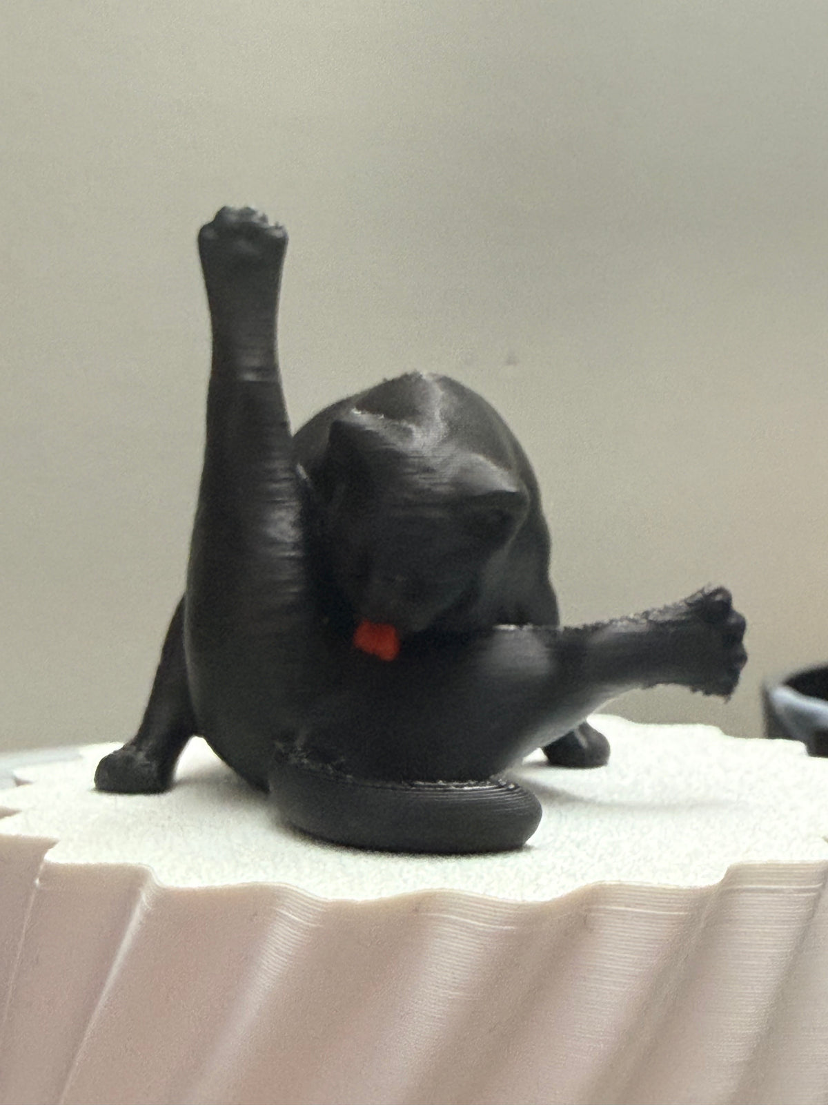 Cat Grooming 3D Collectible