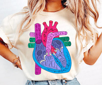Anatomical Heart